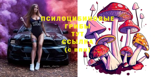 гидропоника Алексин