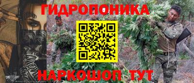 apvp Партизанск