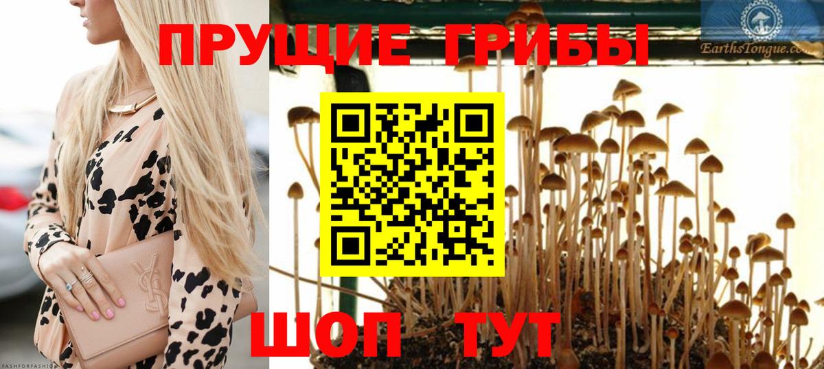 Галлюциногенные грибы GOLDEN TEACHER Энгельс
