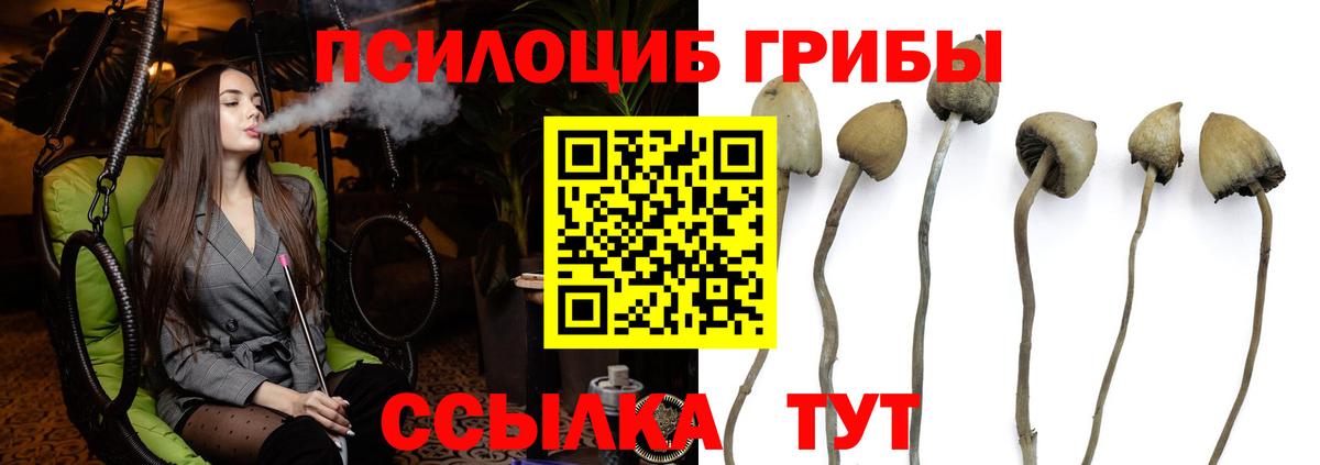 Галлюциногенные грибы Psilocybine cubensis  Вход с VPN  Энгельс 